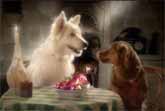 Dog Romance - Citro�n C3